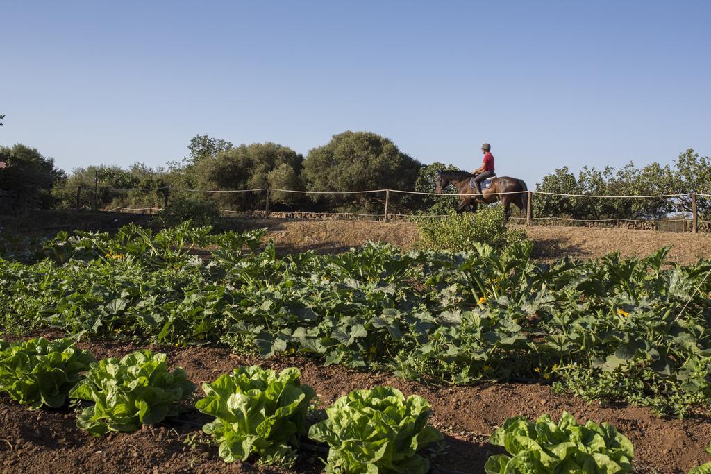 אבאסנטה Country Hotel Mandra Edera מראה חיצוני תמונה