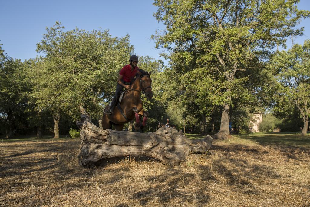 אבאסנטה Country Hotel Mandra Edera מראה חיצוני תמונה