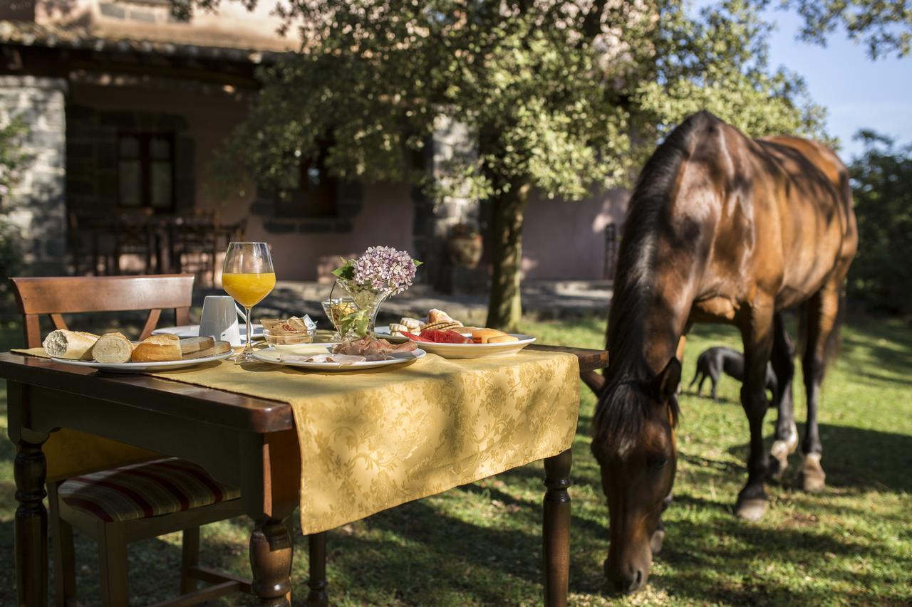 אבאסנטה Country Hotel Mandra Edera מראה חיצוני תמונה