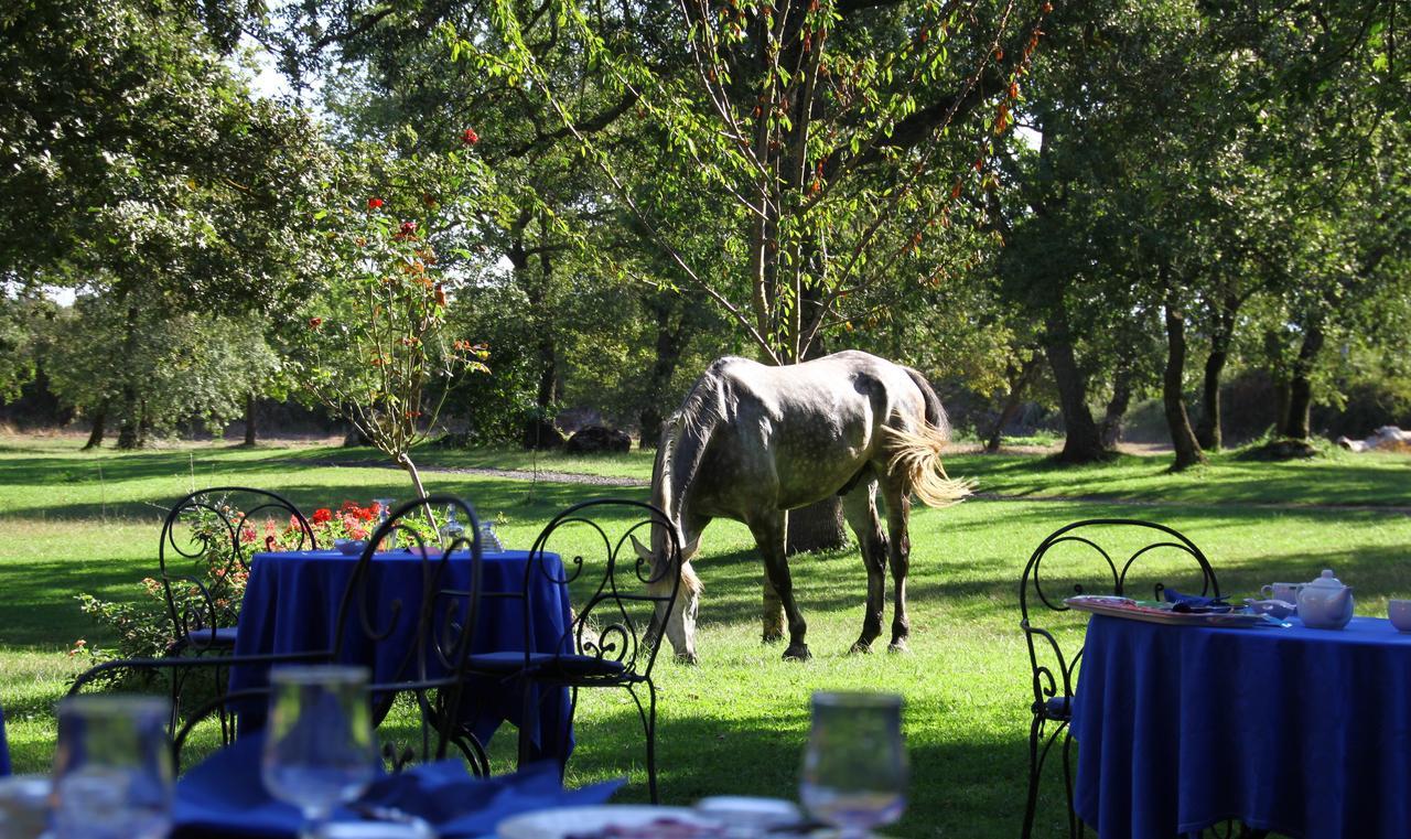 אבאסנטה Country Hotel Mandra Edera מראה חיצוני תמונה